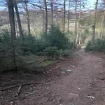 בקתה Comfortable In Ovifat Near Lift *