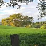 Comfortable In Ovifat Near Lift בקתה *