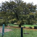 Comfortable In Ovifat Near Lift וואימס