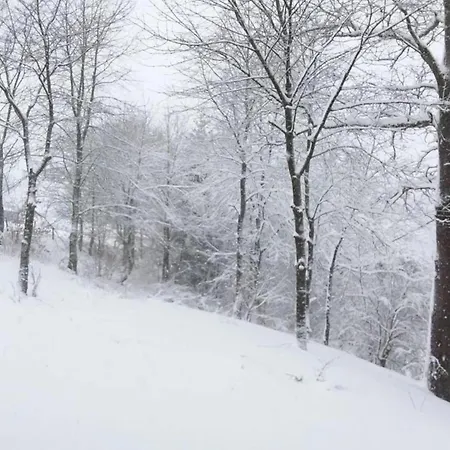 Comfortable In Ovifat Near Lift Chalet *