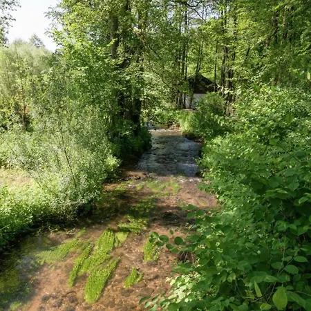 Chalet Comfortable In Ovifat Near Lift