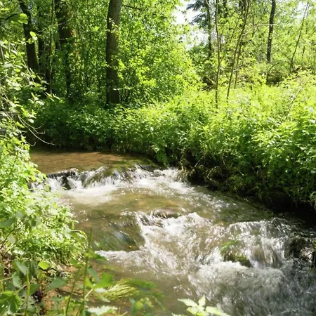 Comfortable In Ovifat Near Lift Chalet *