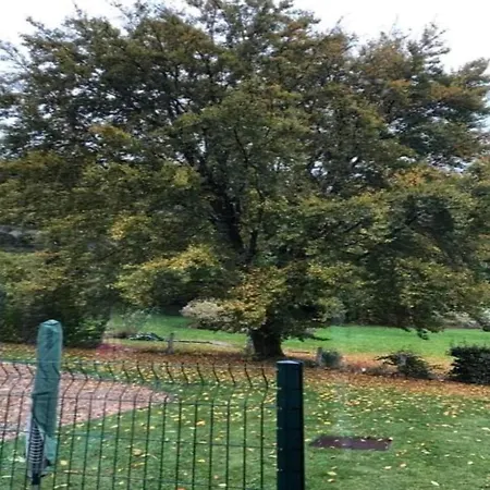 Comfortable In Ovifat Near Lift Waimes